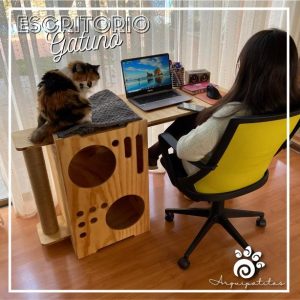 Escritorio Gatuno